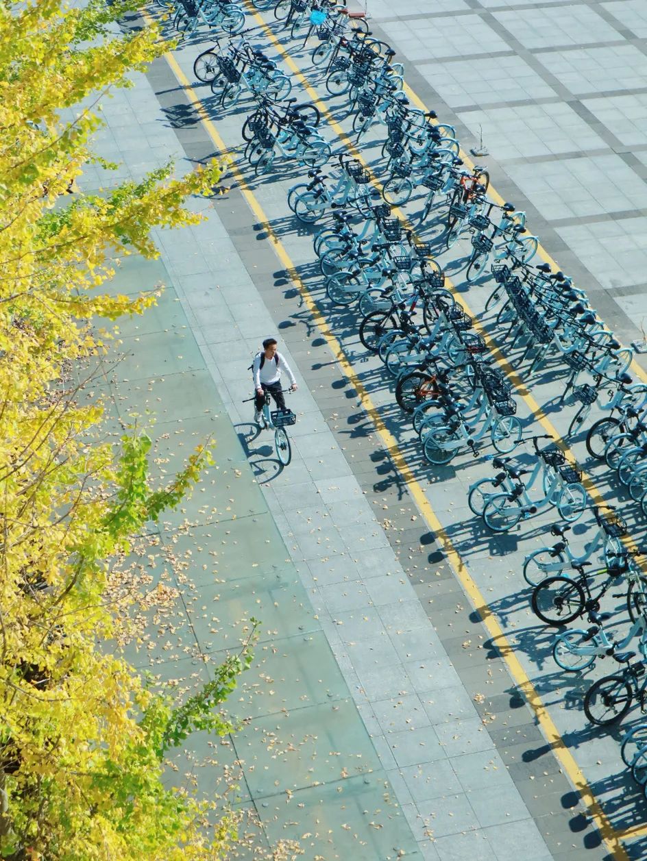 QQ图片20221105120423.jpg 图片