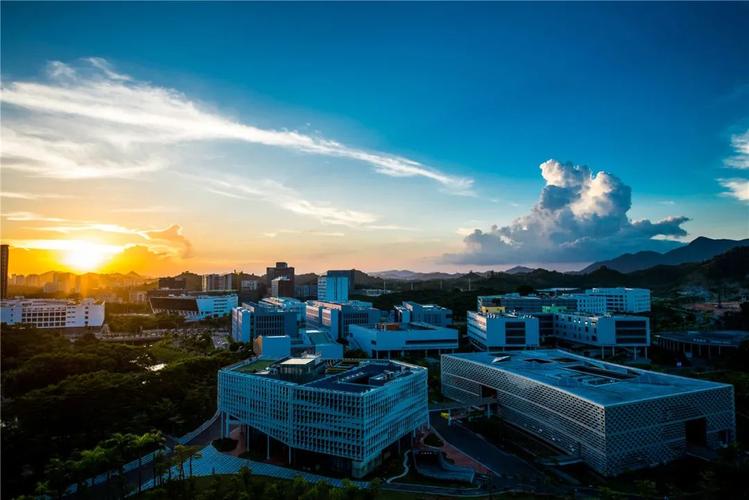 南方科技大学 (11).jpg