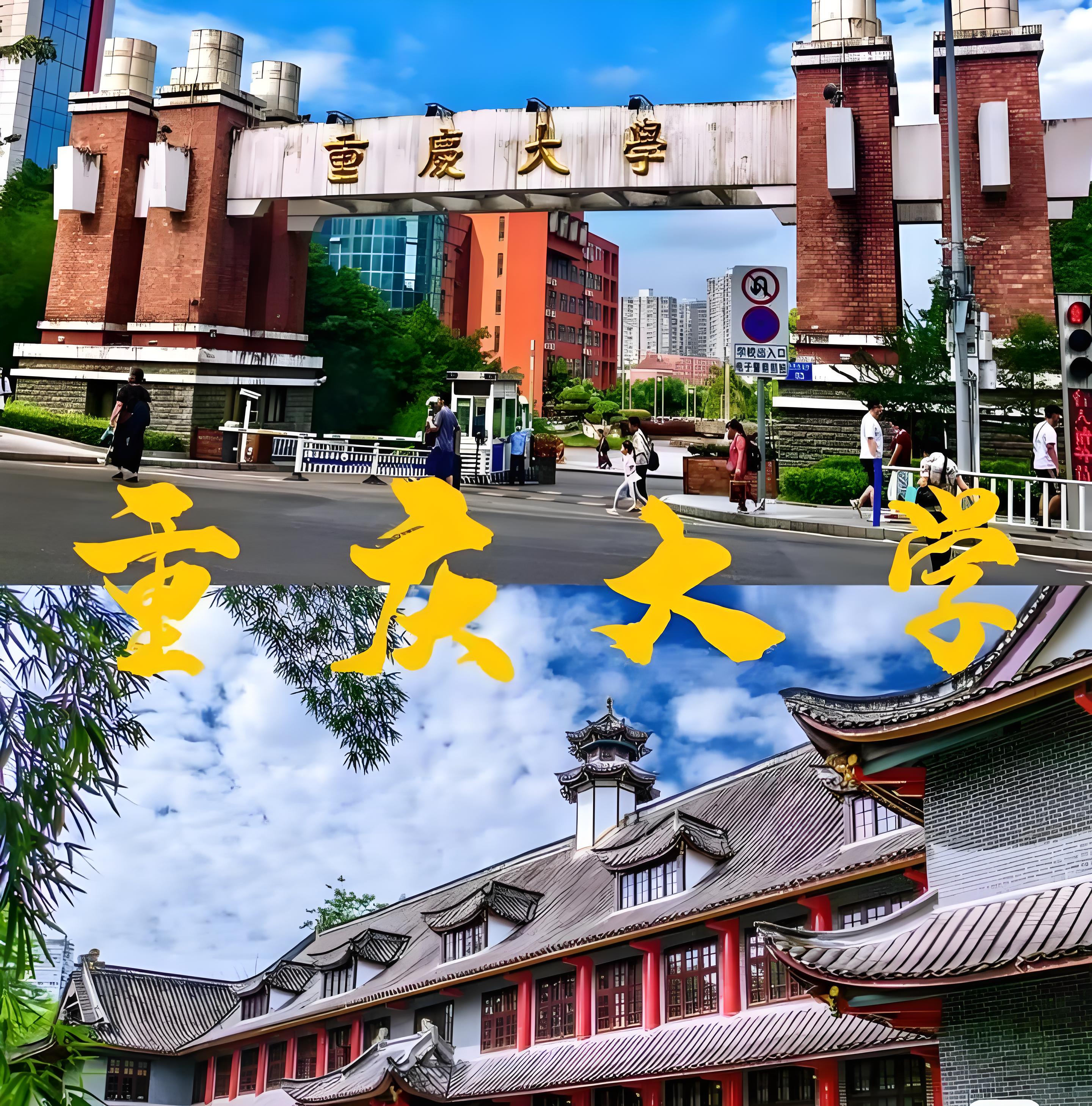 41561d46-b70a-4405-a92e-05672d54faf3.jpg