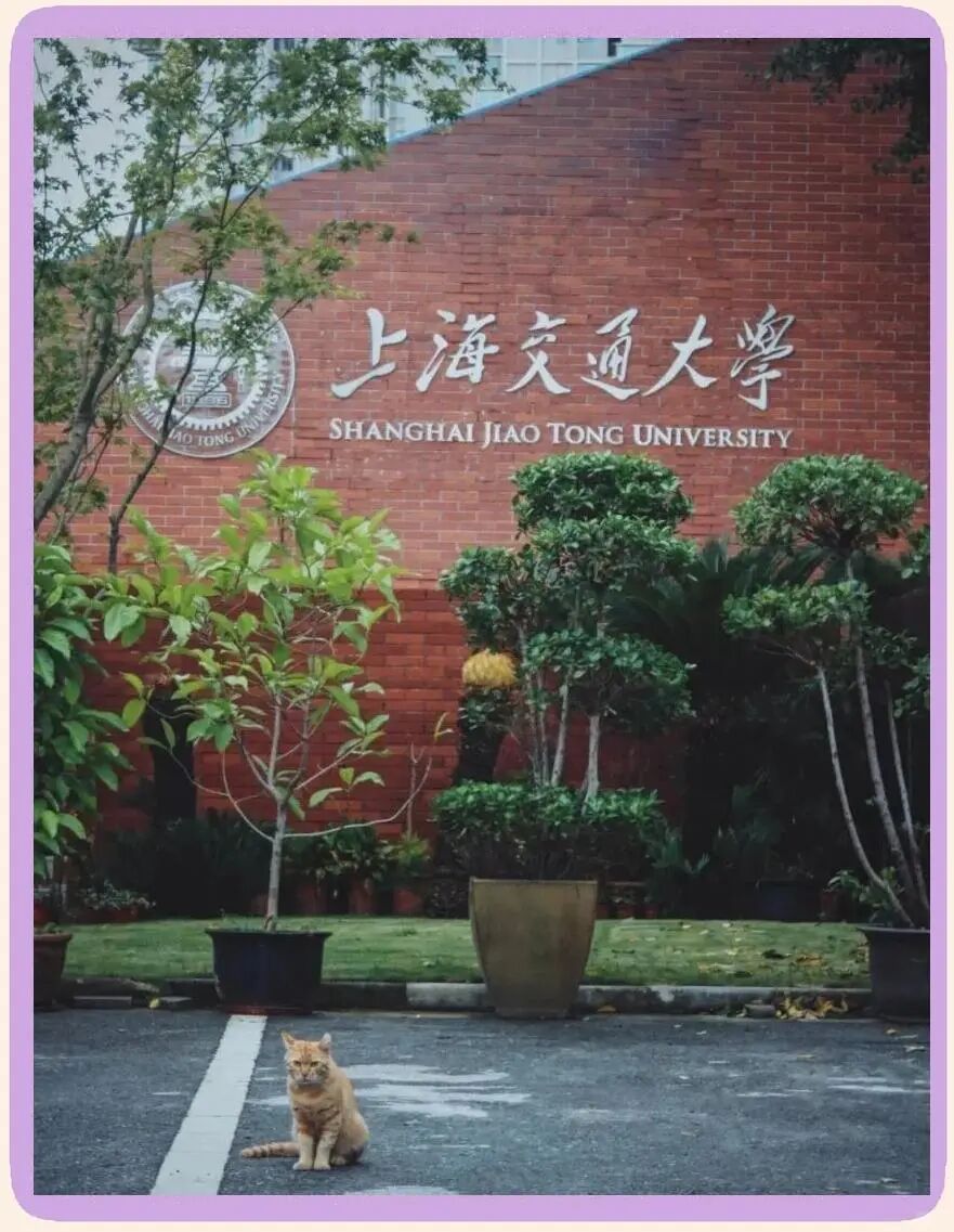 软科中国大学排名榜四：上海交通大学（附近三年录取分数线） - 中国高校在线